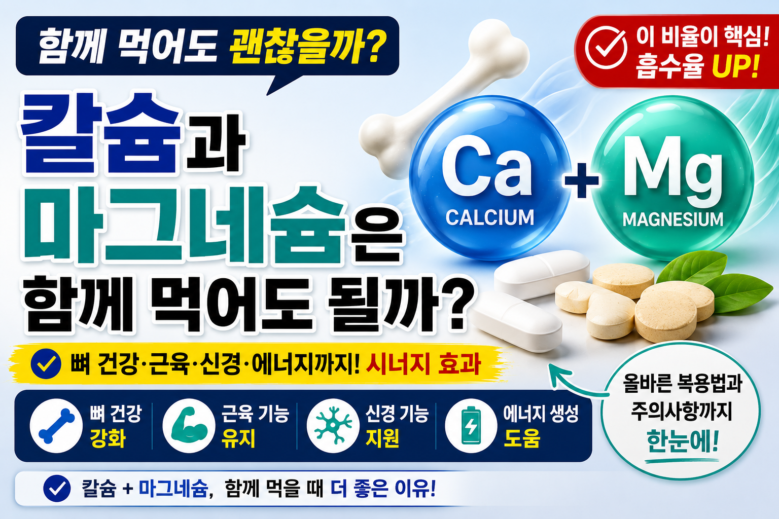 칼슘과 마그네슘 썸네일