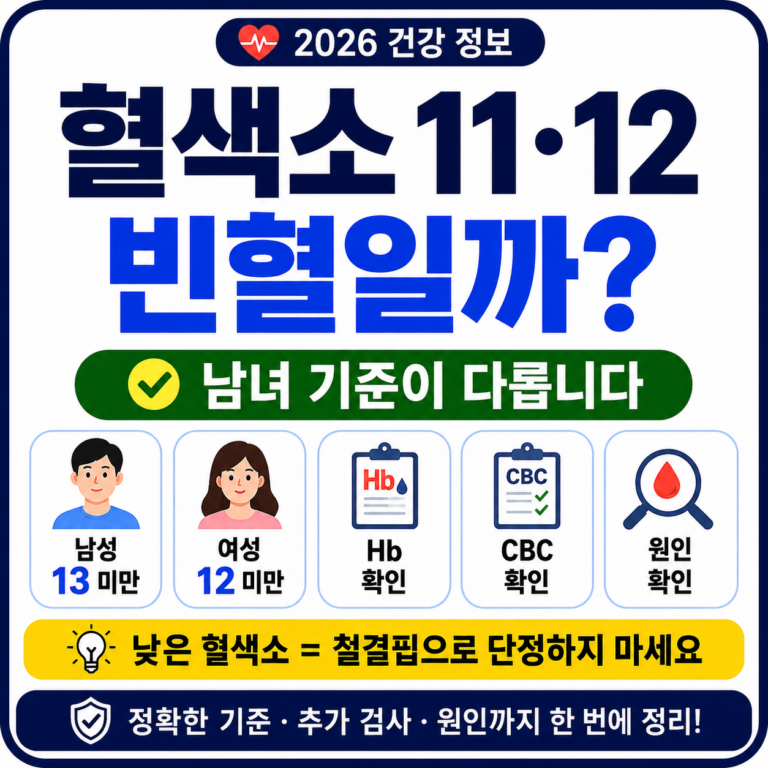 건강검진 혈색소 낮음 확인 순서와 추가 검사