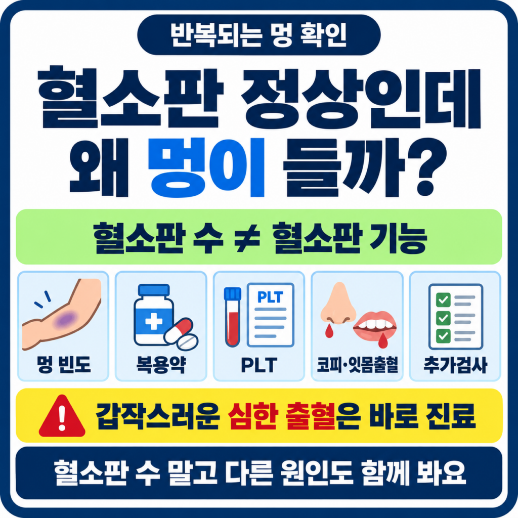 멍이 자주 드는데 혈소판은 정상, 그래도 검사를 더 해야 할까?
