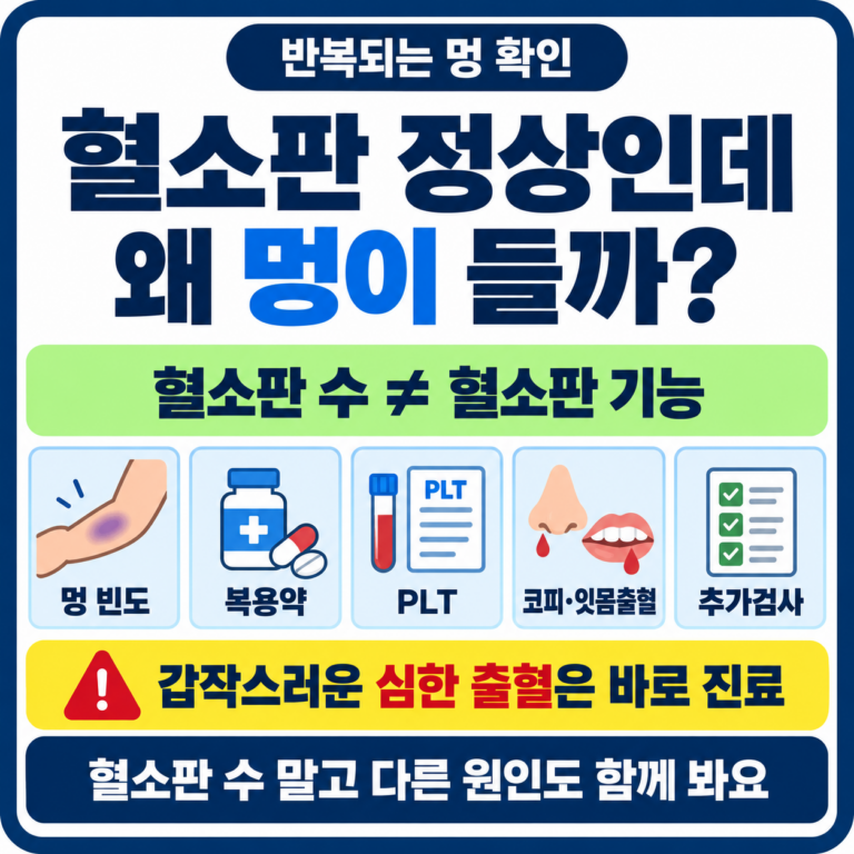 멍이 자주 드는데 혈소판은 정상, 그래도 검사를 더 해야 할까?