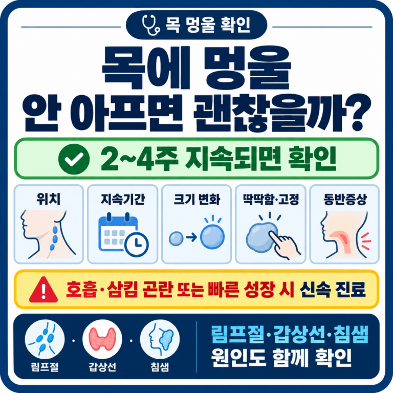 목에 멍울이 만져지는데 안 아프면 괜찮을까? 2~4주 넘으면 확인할 것