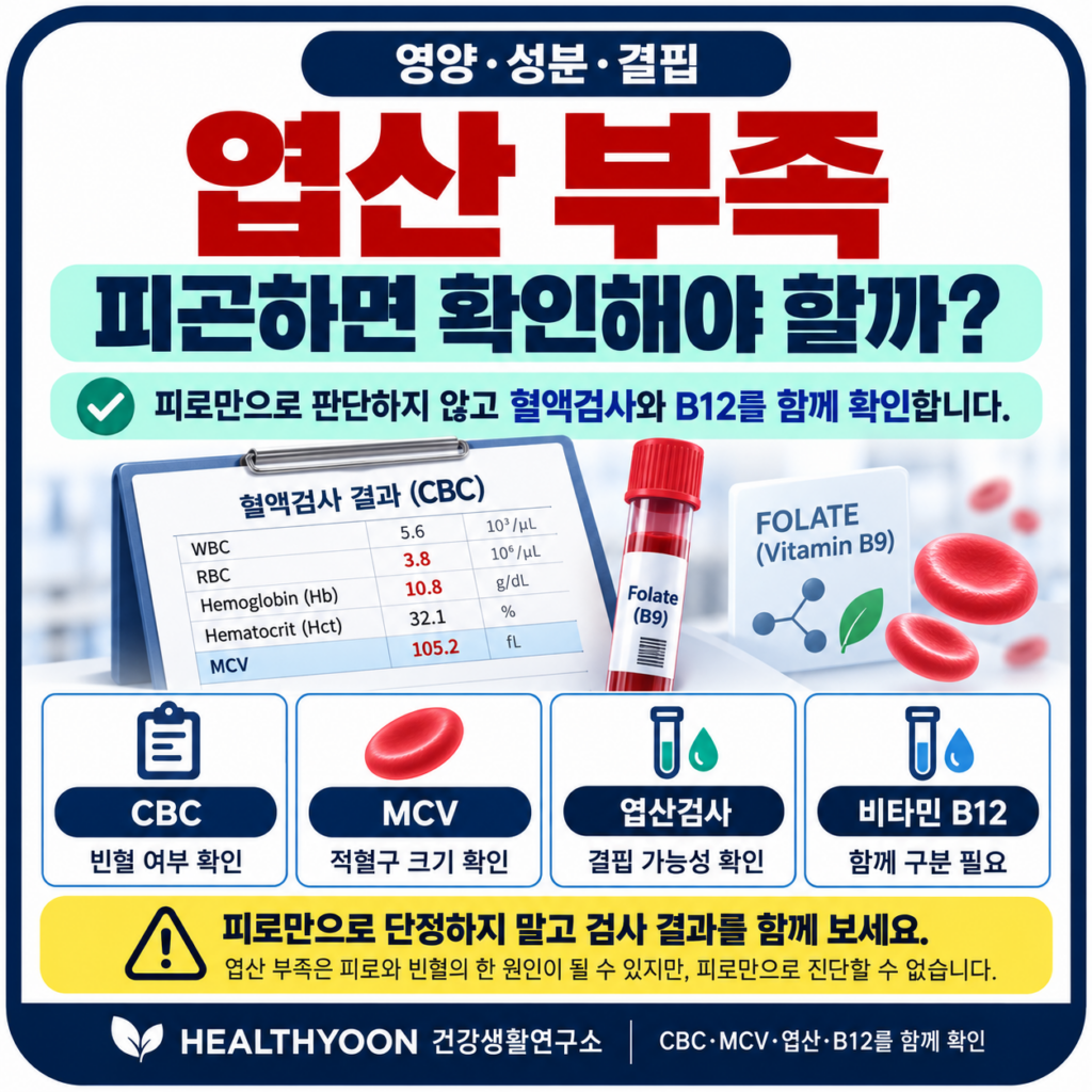 엽산 부족하면 피곤할까? 빈혈이 생기기 전에 확인할 것