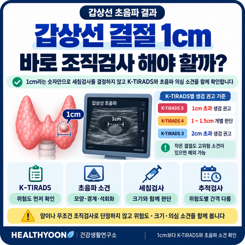 갑상선 결절 1cm, 바로 조직검사 해야 할까? 크기보다 먼저 보는 기준