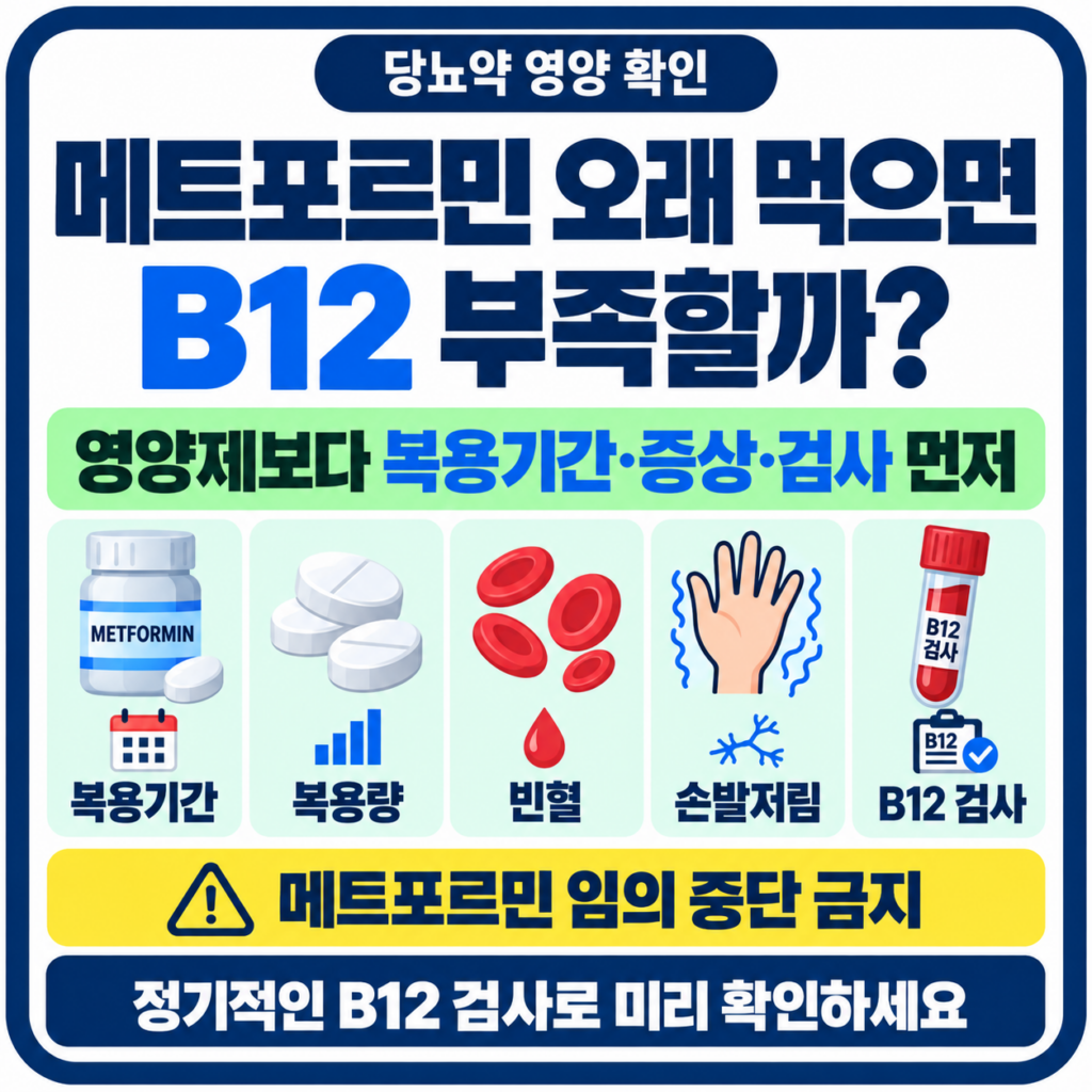메트포르민 비타민 B12 부족, 오래 먹으면 생길까? 영양제보다 먼저 확인할 것