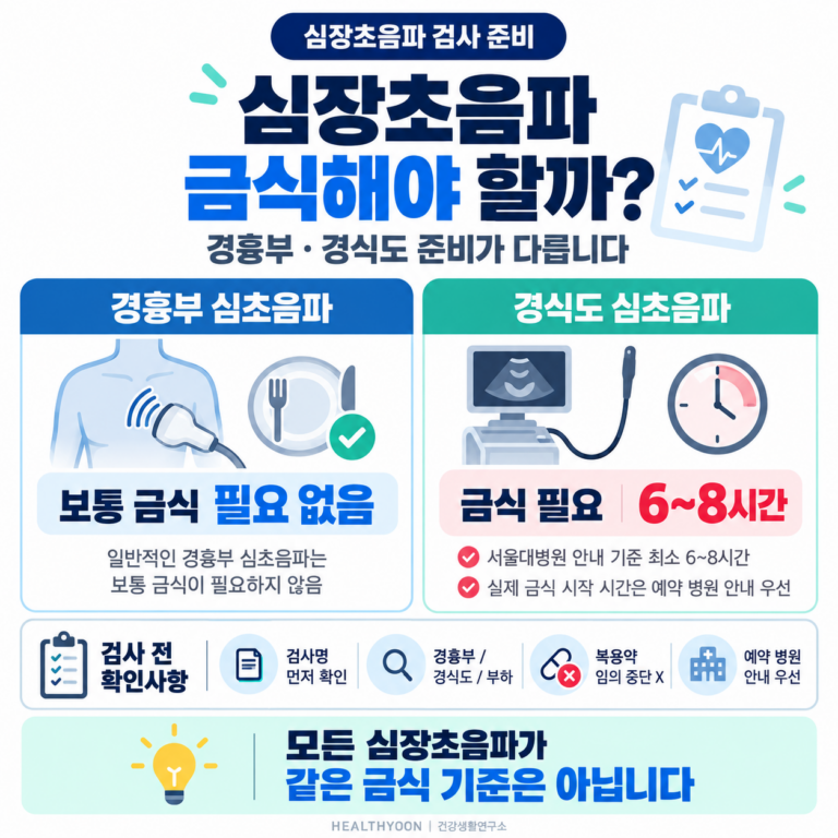 심장초음파 금식해야 할까? 경흉부·경식도 검사 준비 차이