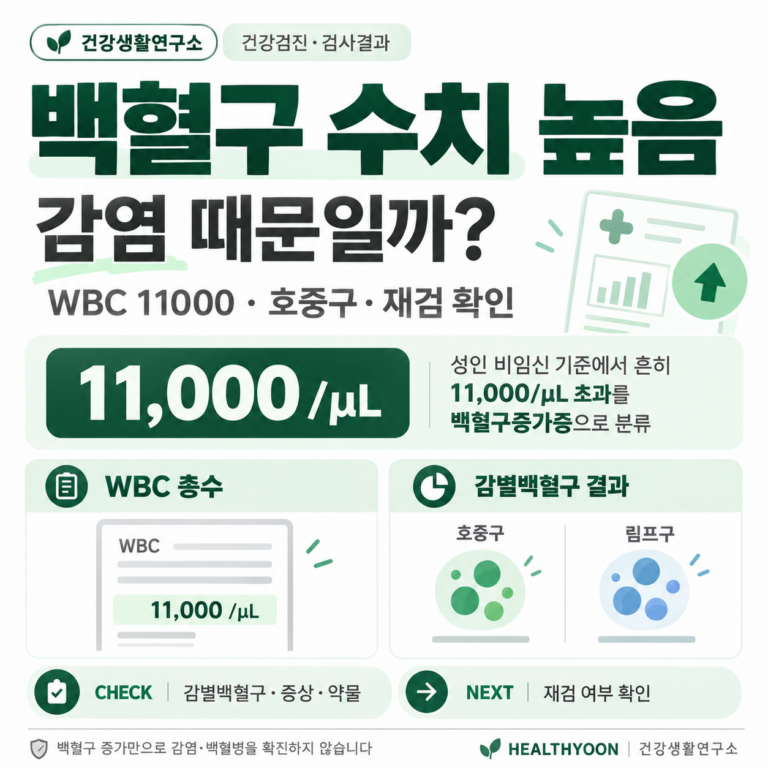 백혈구 수치 높음, WBC 11000과 감별검사 확인 기준