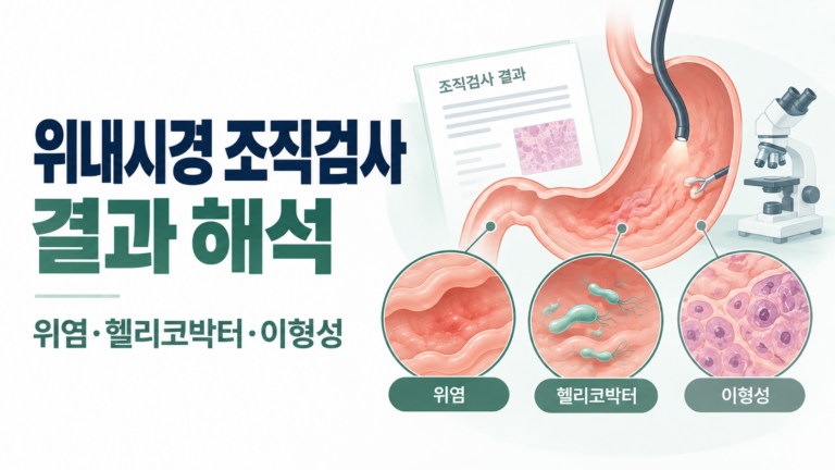 위내시경 조직검사 결과, 위염·헬리코박터·이형성 구분
