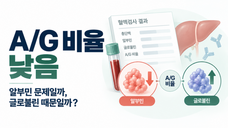 A/G 비율 낮음, 알부민과 글로불린 검사 결과 비교