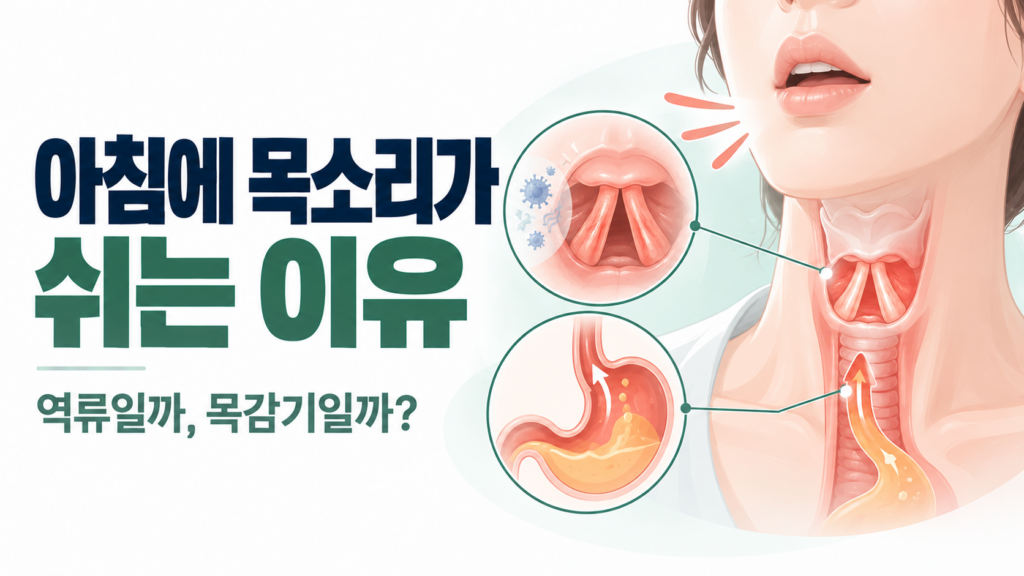 아침에 목소리가 쉬는 이유, 역류와 목감기 증상 구분