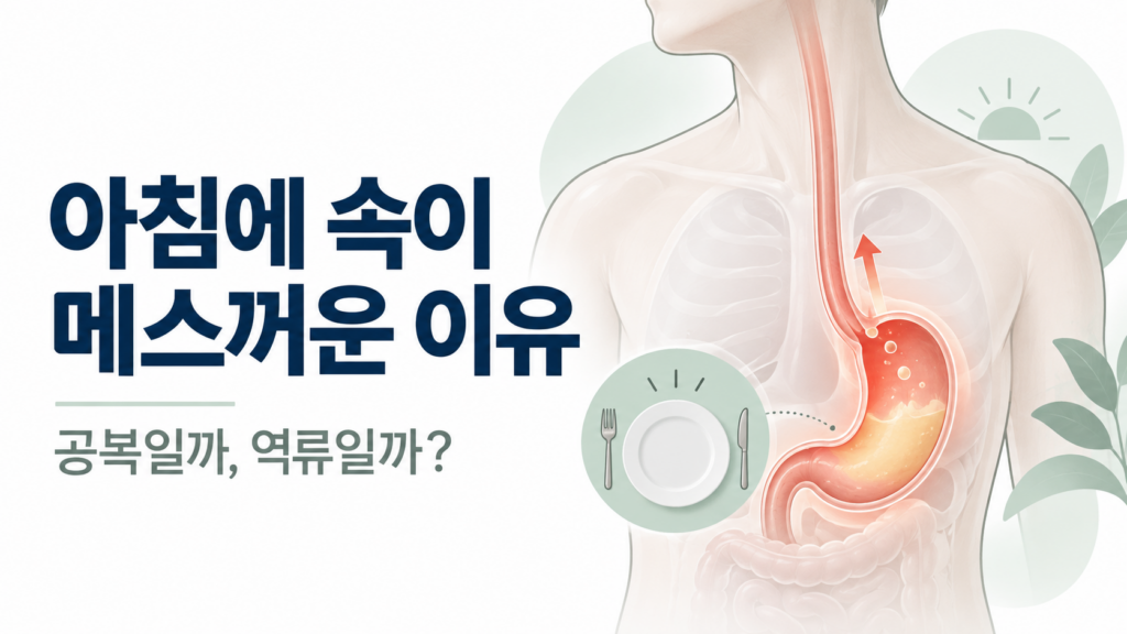 아침에 속이 메스꺼운 이유, 공복·역류·어지럼 구분